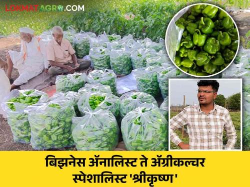 Success Story: Admirable Journey of a Devdhanora Youth from Business Analyst to Agriculture Specialist | Success Story : देवधानोऱ्यातील युवकाचा बिझनेस ॲनालिस्ट ते ॲग्रीकल्चर स्पेशालिस्ट कौतुकास्पद प्रवास