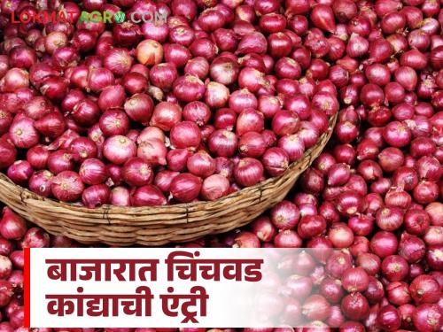 Kanda Bazaar Bhav: Chinchwad onion enters Junnar-Alephata market; Read today's onion market price in the state | Kanda Bajar Bhav : चिंचवड कांद्याची जुन्नर-आळेफाटा बाजारात एंट्री; वाचा राज्यातील आजचे कांदा बाजारभाव