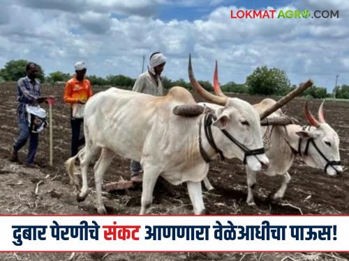 Early arrival of monsoon and the crisis of double sowing; Read what experts are saying | मान्सून लवकर येणे अन् दुबार पेरणीचे संकट; वाचा काय सांगताहेत तज्ञ