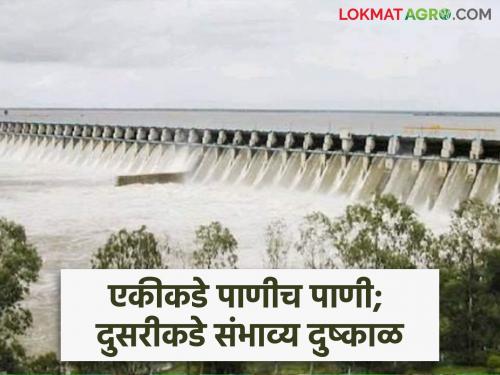 'This' dam in the state was filled in early July; Marathwada-Vidarbha, however, are also awaiting heavy rains | जुलैच्या सुरुवातीलाच भरली राज्यातील 'ही' धरणे; मराठवाडा-विदर्भ मात्र अध्यापही दमदार पावसाच्या प्रतीक्षेत