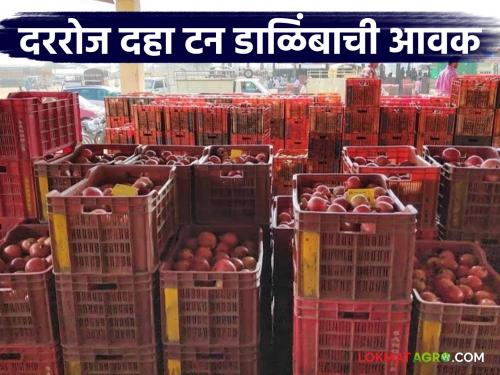 Ten tonnes of pomegranates are arriving daily in this market of the state; Read what is the price being offered | राज्याच्या 'या' बाजारात दररोज दहा टन डाळिंबाची होतेय आवक; वाचा काय मिळतोय दर