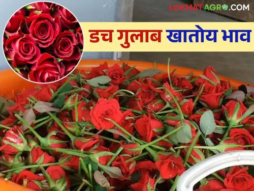 The flower market is booming due to the wedding season; demand for flowers for decoration and auspicious occasions has increased | लग्नसराईमुळे फुलांचे बाजार तेजीत; सजावट व शुभकार्यासाठी फुलांची मागणी वाढली