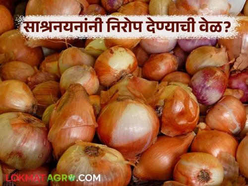Why is it time for onion farmers in the state to bid farewell to onions with a bang? Read in detail | राज्यातील कांदा उत्पादक शेतकऱ्यांवर का आली आहे कांद्याला साश्रनयनांनी निरोप देण्याची वेळ; वाचा सविस्तर