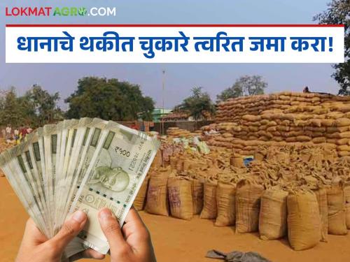 Farmers' paddy arrears should be paid immediately; MLA Rajkumar Badole | शेतकऱ्यांचे धानाचे थकीत चुकारे त्वरित जमा करा; आमदार राजकुमार बडोले