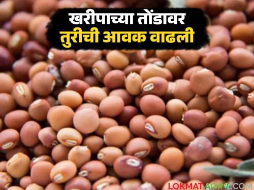 Arrivals increase ahead of Kharif; Will the wait for price hikes by tur farmers end? | खरीपाच्या तोंडावर आवक वाढली; तूर उत्पादक शेतकऱ्यांची भाववाढीची प्रतीक्षा संपणार का?