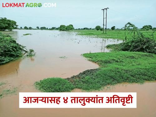 Heavy rain in Kolhapur district; Heavy rainfall in these 4 talukas including Ajar | कोल्हापूर जिल्ह्यात धुवांधार पाऊस; आजऱ्यासह 'या' ४ तालुक्यांत अतिवृष्टी