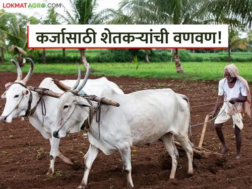 Farmers rush to sow seeds by mortgaging gold and silver; Read the burning reality on the farm edges | सोने-चांदी गहाण ठेवून शेतकऱ्यांची पेरणीची लगबग; वाचा काय आहे शेतशिवारातील जळजळीत वास्तव