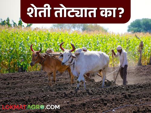 Want to turn loss-making farming into profitable farming? Then what exactly should be done; Read what scholars are saying | तोट्याची शेती फायद्याची करायची आहे? मग नक्की काय करायला हवं; वाचा काय सांगताहेत अभ्यासक