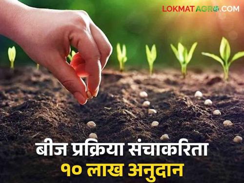 Grant up to Rs.10 lakh for setting up of seed processing sets; Apply like this | बीज प्रक्रिया संच उभारण्याकरिता १० लाख रुपयांपर्यंत अनुदान; असा करा अर्ज