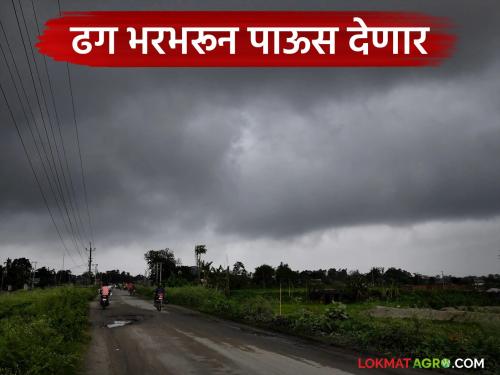 Good news for farmers; Monsoon will be abundant in the state this year | शेतकऱ्यांसाठी आनंदाची बातमी; यंदा राज्यात मान्सून भरभरून कोसळणार