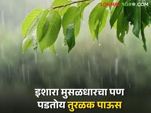 Only light rain is falling in this district of the state where the Meteorological Department has warned of heavy rains. | हवामान विभागाने मुसळधार पावसाचा इशारा दिलेल्या राज्याच्या 'या' जिल्ह्यात पडतोय केवळ तुरळक पाऊस