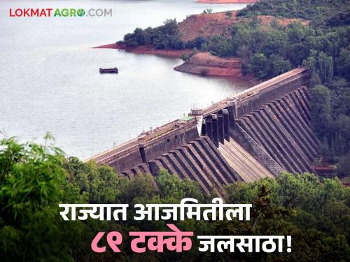 3 lakh 18,859 cusecs released from 35 dams in the state; almost all dams collapsed | राज्यातील ३५ धरणांमधून ३ लाख १८,८५९ क्युसेकचा विसर्ग; जवळपास सर्वच धरणे तुडुंब