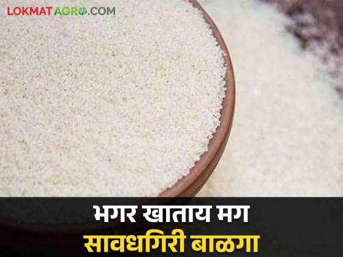 Be careful if you eat bhagar while fasting; Appeal to consumers with sellers to be careful | Barnyard Millet: उपवासाला भगर खाताय मग सावधगिरी बाळगा; काळजी घेण्याचे विक्रेत्यांसह ग्राहकांना आवाहन