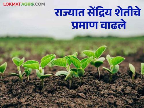 Organic Farming: Two lakh hectares of agriculture in the state has come under organic farming | Organic Farming : राज्यात दोन लाख हेक्टरवरील शेती आली सेंद्रिय पिकाखाली