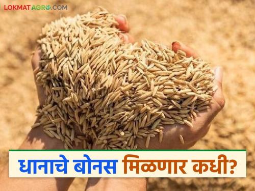 Bonus not received even after one and a half months; 45,000 farmers of Vidarbha waiting for paddy bonus | दीड महिना झाला तरी बोनस येईना; विदर्भाच्या ४५ हजार शेतकऱ्यांना धानाच्या बोनसची प्रतीक्षा