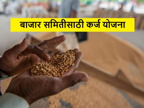 Latest News Loan Scheme of Agriculture Marketing Board to State market yard see details | Agriculture News : राज्यातील बाजार समित्यांना कृषि पणन मंडळाची कर्ज योजना, जाणून घ्या संपूर्ण प्रक्रिया 