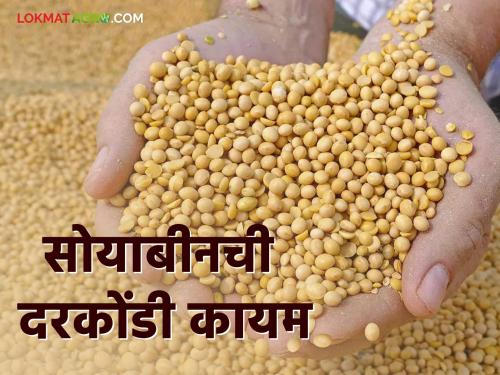 Soybean Market Soybean Price Crisis Still Remaining; Farmers are in trouble | Soybean Market सोयाबीनची दरकोंडी अजूनही कायम; शेतकरी सापडले अडचणीत