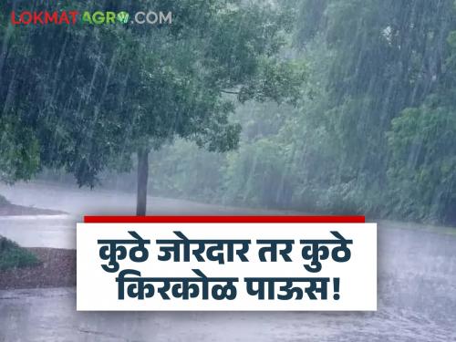 Heavy rain warning for 'this' part of the state; Read what weather experts are saying | राज्याच्या 'या' विभागाला सलग पावसाचा मोठा इशारा; वाचा काय सांगताहेत हवामान तज्ञ