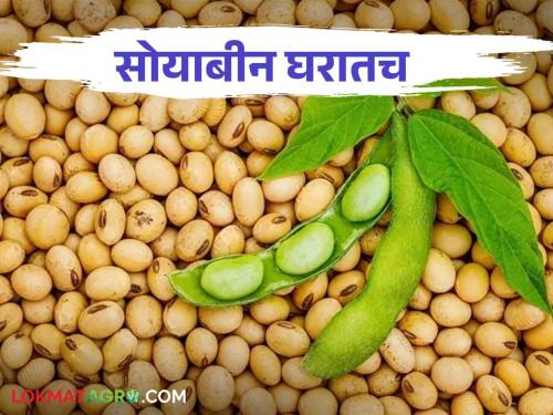 Soybean Market Production Costs Rising Prices Not Stable; Soybeans have been lying in the house for a year, so the farmers are worried! | Soybean Market उत्पादन खर्च वाढतोय भाव नाही स्थिर; सोयाबीन वर्षभर घरातच पडून असल्याने शेतकऱ्यांची चिंता वाढली!