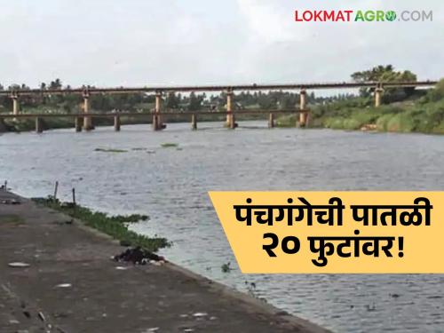 Rainfall in Kolhapur district; Panchgange level at 20 feet | कोल्हापूर जिल्ह्यात पावसाची उघडीप; पंचगंगेची पातळी २० फुटांवर