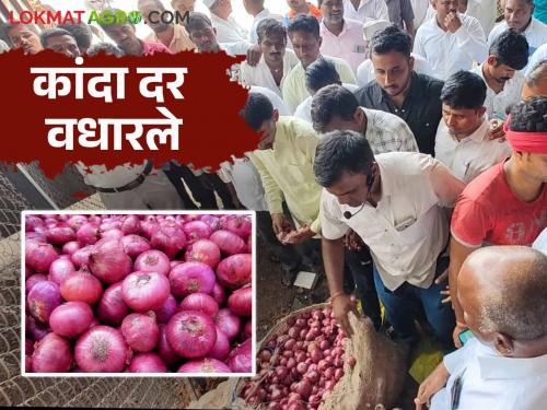 Onion Market: Onion price increased in Ghodegaon market; Read how much the rate is getting | Onion Market : घोडेगाव बाजारात कांदा दर वधारले; वाचा किती मिळतोय दर