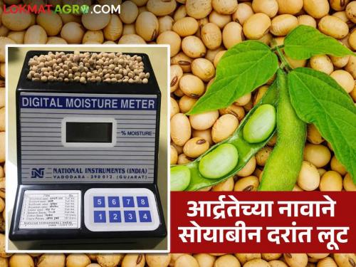 Soybean Market Update: Soybean producers are being exploited in the market under the guise of humidity; No one has control over the humidity meter | Soybean Market Update : बाजारात आर्द्रतेच्या नावाने सोयाबीन उत्पादक शेतकऱ्यांची लूट; आर्द्रता मोजमाप मीटरवर कुणाचेही नियंत्रण नाही