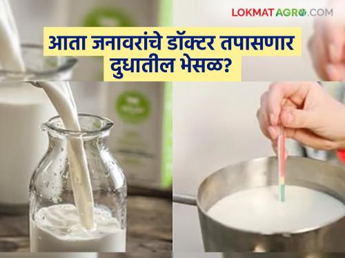 Big change in Animal Husbandry Department; Now these new officers will monitor milk adulteration and food factories | पशुसंवर्धन विभागात मोठा बदल; आता दुधातील भेसळ आणि खाद्य कारखान्यांवर लक्ष ठेवणार ‘हे’ नवे अधिकारी