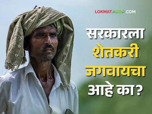 Farmers life Trouble : Farmers' dreams are shattered when facing natural disasters, yet the government says that wait Panchnama will be done soon! | Farmers life Trouble : नैसर्गिक संकटांचा सामना करतांना शेतकऱ्यांची स्वप्ने उधवस्त होताहेत, तरीही सरकार म्हणतं थांबा पंचनामा होईल!