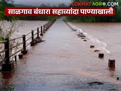 Water in Hiranyakeshi, Chitri overflows; Salgaon dam goes under water for the sixth time due to heavy rains | हिरण्यकेशी, चित्रीचे पाणी पात्राबाहेर; मुसळधार पावसामुळे साळगाव बंधारा सहाव्यांदा गेला पाण्याखाली