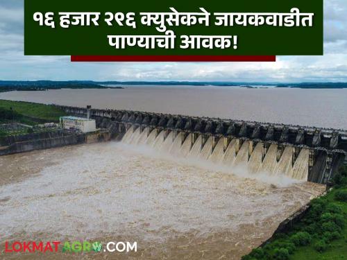 Water inflow into Jayakwadi Dam increased due to heavy rains in the Godavari river basin area | गोदावरी नदीपात्र परिसरात जोरदार पाऊस होत असल्याने जायकवाडी धरणात पाण्याची आवक वाढली