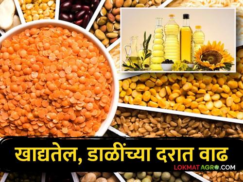 Diwali Market: Ahead of Diwali, prices of edible oil, pulses increase by 15 percent | Diwali Market : दिवाळीपूर्वीच खाद्यतेल, डाळींच्या दरामध्ये तब्बल १५ टक्क्यांनी वाढ