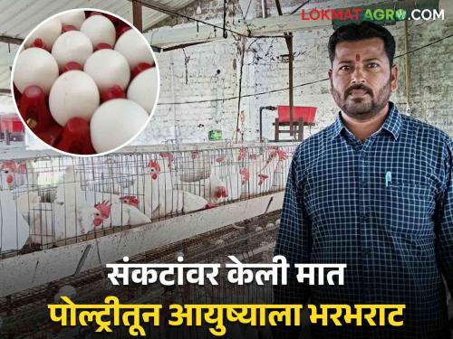 Poultry Success Story : Poultry support for egg sales business; Bhikabhau's strong overcoming of life's difficulties | Poultry Success Story : अंडी विक्री व्यवसायाला पोल्ट्रीची साथ; भिकाभाऊंची आयुष्याच्या अडचणींवर दमदार मात