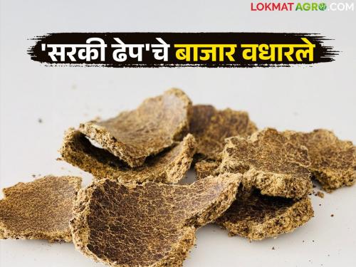 Market prices of sugarcane and edible oil increased; Sugar prices are also likely to increase | सरकी ढेप अन् खाद्यतेलाचे बाजारभाव वाढले; साखरेच्या दरात देखील वाढ होण्याची शक्यता