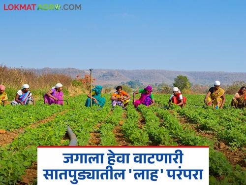 These farmers are giving a sense of prosperity through cooperation; Know what is the 'Lah' tradition that is envied by the world | सहकार्यातून समृद्धीची 'हे' शेतकरी देताहेत अनुभूती; जगाला हेवा वाटणारी जाणून घ्या काय आहे 'लाह' परंपरा