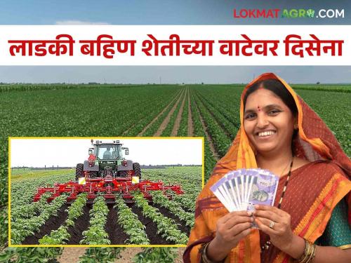 Machine owners benefit from labor shortages; But the farmers are getting hit! | मजुरांच्या टंचाईचा यंत्रमालकांना फायदा; शेतकऱ्यांना मात्र बसतोय फटका!