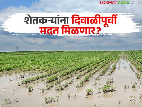 Will farmers get help before Diwali? The government will decide on help only after the heavy rainfall report is submitted to the 'Ya' department | शेतकऱ्यांना दिवाळीपूर्वी मदत मिळणार का? अतिवृष्टी अहवाल 'या' विभागाकडे दिल्यानंतरच होणार मदतीसाठीचा शासन निर्णय