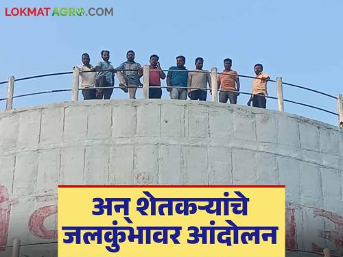 Farmers climb water tanks to collect onion dues due to market committee's negligence | बाजार समितीचे दुर्लक्ष अन् कांद्याच्या थकीत पैशांसाठी शेतकरी चढले जलकुंभावर