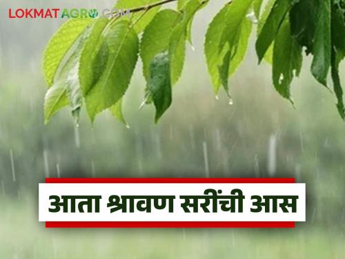 Expectations of heavy rains turned out to be a failure; farmers now hope for Shravan showers | दमदार पावसाची अपेक्षा ठरली फोल; शेतकऱ्यांना आता लागली श्रावण सरींची आस