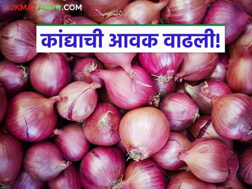 A decision in the interest of onion farmers and onion arrivals in the market committee increased by 35 percent | कांदा उत्पादक शेतकऱ्यांच्या हिताचा 'तो' एक निर्णय आणि बाजार समितीत ३५ टक्क्यांनी वाढली कांद्याची आवक