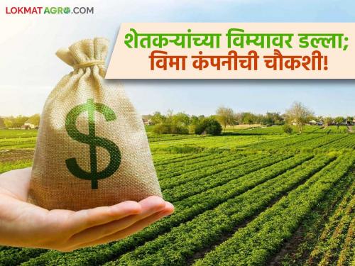 Eligible farmers did not receive compensation due to bogus entries in crop insurance; Demand for action against the insurance company and agricultural officials | पीक विम्यात बोगस नोंदी पाई पात्र शेतकऱ्यांना मिळाली नाही भरपाई; विमा कंपनीसह कृषी अधिकाऱ्यांवर कारवाईची मागणी
