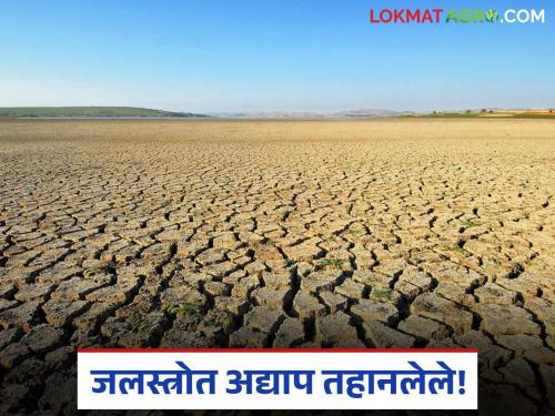 While the state is flooded, the water resources of this district are still thirsty; water storage in most dams is below 50 percent | राज्यात एकीकडे पुर तर 'या' जिल्ह्यातील जलस्त्रोत अद्याप तहानलेलेच; बहुतांश धरणातील पाणीसाठा ५० टक्क्यांखाली
