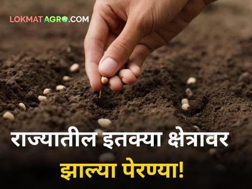 maharashtra state crop sowing report of kharip season 2024 monsoon rain decrease cultivation | Sowing : राज्यात अद्याप किती क्षेत्रावर झाल्या पेरण्या? कमी पावसामुळे शेतकऱ्यांवर संकटाची भिती