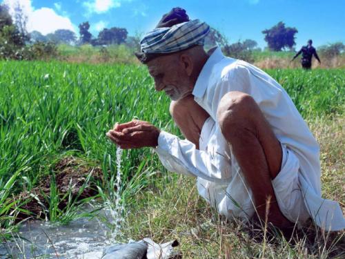 How will you take care of the crops in the state against the backdrop of rising temperatures? | राज्यात वाढत्या तापमानाच्या पाश्वभूमीवर पिकांची काळजी कशी घ्याल?