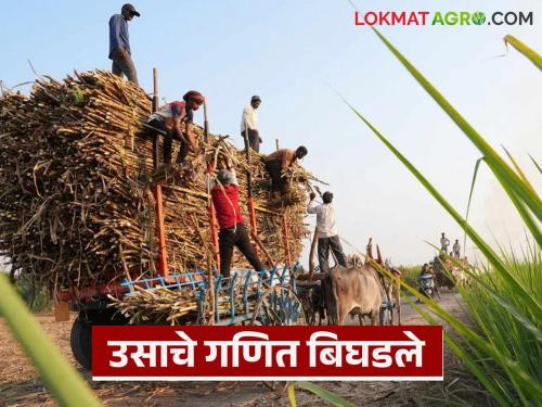 18 percent increase in 'FRP' but 40 percent increase in expenditure; Tell me how to reconcile the economics of sugarcane? | 'एफआरपी'त १८ टक्के पण खर्चात ४० टक्क्यांची वाढ; सांगा उसाचे अर्थकारण कसे जुळायचे?