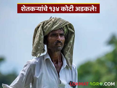 No compensation from insurance company and Sugar Samrat not paying sugarcane bills; Farmers' financial blockade | विमा कंपनीकडून भरपाई मिळेना अन् साखर सम्राट उसाची बिले देईना; शेतकऱ्यांची आर्थिक नाकेबंदी