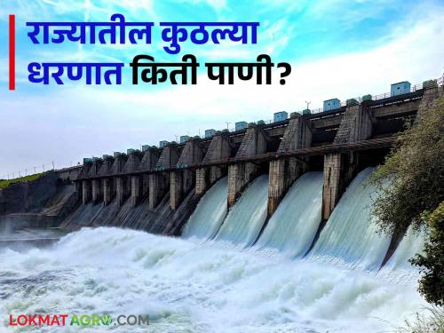 Latest News maharashtra dam storage gangapur, jayakawadi, koyana, ujani dam water storage todays check here | Maharashtra Dam Storage : कुठलं धरण भरलं, कुठल्या धरणाला पावसाची प्रतीक्षा, राज्यातील आजचा पाणीसाठा 