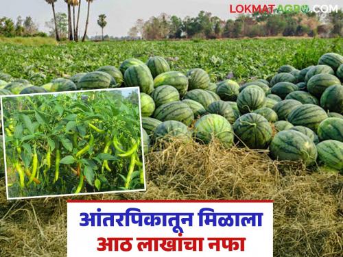 Success Story: Hard work got the support of market price; Vinayak's intercropping achieved a huge success | Success Story : मेहनतीला मिळाली बाजारभावाची साथ; विनायक यांची आंतरपिकांत जोरदार कमाल