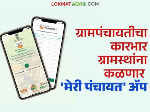 Now get complete information about village administration with just one click from home; 'Meri Panchayat' app | आता घर बसल्या एका क्लिकवर मिळवा गाव कारभाराची संपूर्ण माहिती; 'मेरी पंचायत' ॲप