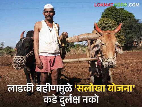 Salokha Yojana: Did the farmers benefit from the expired Salokha Yojana? Read what are the benefits | Salokha Yojana : शेतकरी बांधवांनो मुदत संपत आलेल्या सलोखा योजनेचा लाभ घेतला का? वाचा काय आहेत फायदे