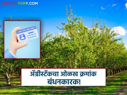 Agriculture Department's fruit crop insurance portal launched, but Agristack identification number is mandatory | कृषी विभागाचे फळपीक विमा पोर्टल सुरू मात्र ॲग्रीस्टॅकचा ओळख क्रमांक बंधनकारक